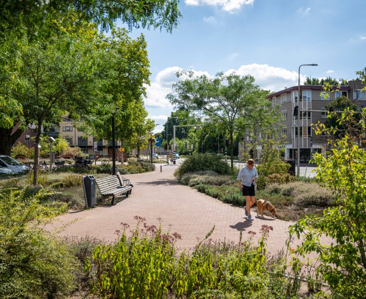 Vrouw en hond lopen door groen parkje centrum Oss