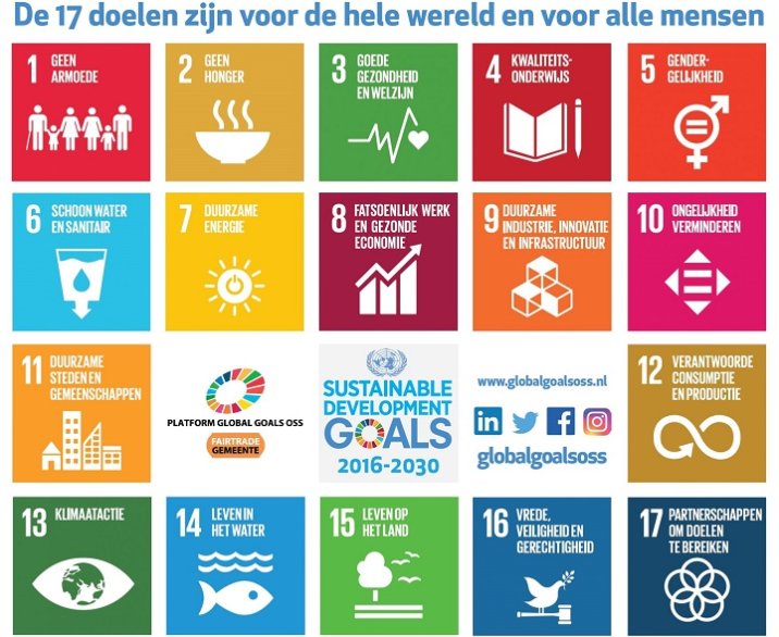 Global Goals afbeelding
