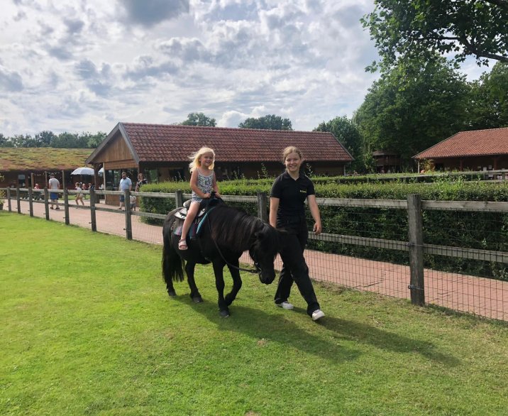Paarden- en ponydag op De Elzenhoek