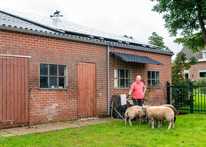 Man staat met een paar schapen voor een schuurtje met een nieuw dak met zonnepanelen