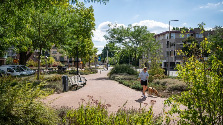 Vrouw en hond lopen door groen parkje centrum Oss