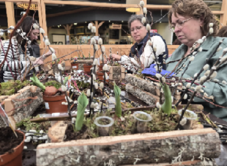 Decoratieve foto Tulpenworkshop Buurtvereniging Heraut